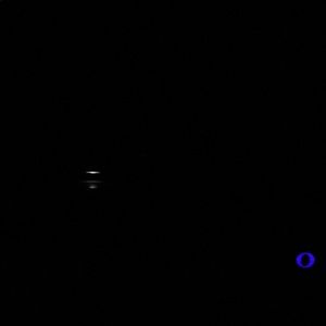 Meet your Posher, Spencer